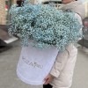 25 голубых гипсофил в бархатной коробке